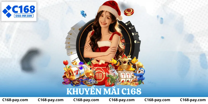 Phân tích tỷ lệ hoàn trả tại C168